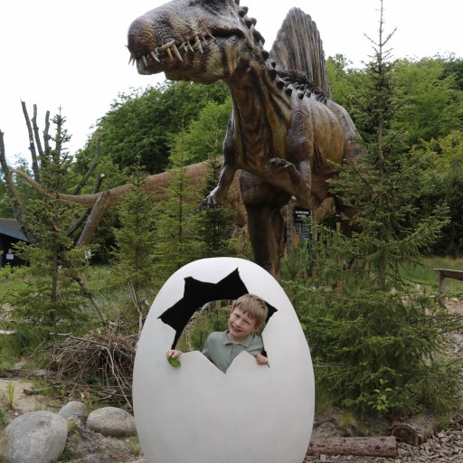 En dag i Aalborg Zoo fyldt med dyr, fodringer og leg for hele familien