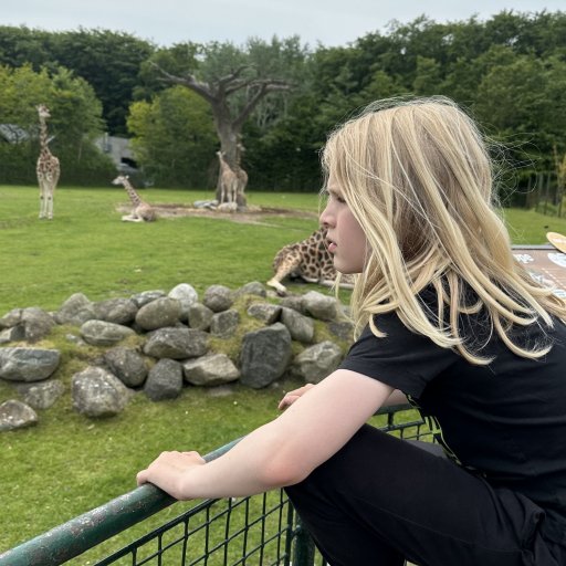 Oplevelser for bĂĽde børn og voksne â fra dinosaurer til dyrefodringer