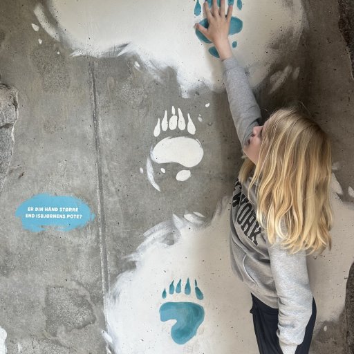 Oplevelser for bĂĽde børn og voksne â fra dinosaurer til dyrefodringer