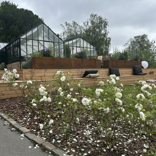 Nye oplevelser og smukke dyreanlĂŚg â Aalborg Zoo udvikler sig hele tiden