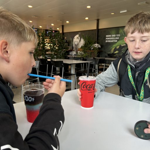 Nye oplevelser og smukke dyreanlĂŚg â Aalborg Zoo udvikler sig hele tiden