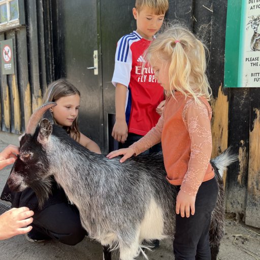 En hyggelig familiedag med shows, dyr og masser af grin