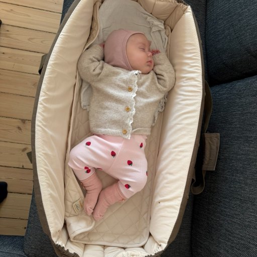 En stilren og praktisk baby-lift, der gør hverdagen lettere for familier på farten