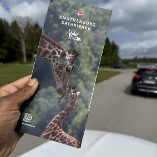 Store dyreoplevelser og spændende dinosaurer i Knuthenborg Safaripark