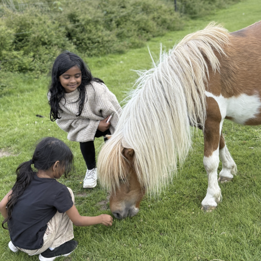 Store dyreoplevelser og spændende dinosaurer i Knuthenborg Safaripark