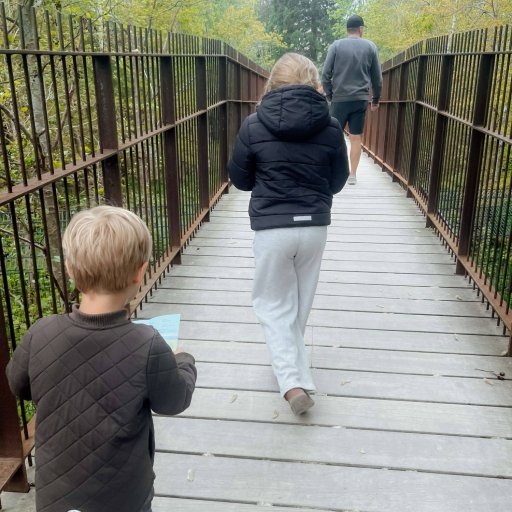 Safarioplevelser og masser af leg i Knuthenborg Safaripark