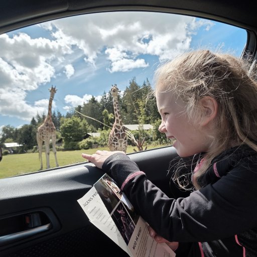 Magiske øjeblikke tæt på dyrene i Knuthenborg Safaripark