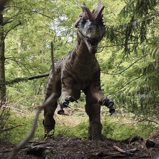 Magiske øjeblikke tæt på dyrene i Knuthenborg Safaripark