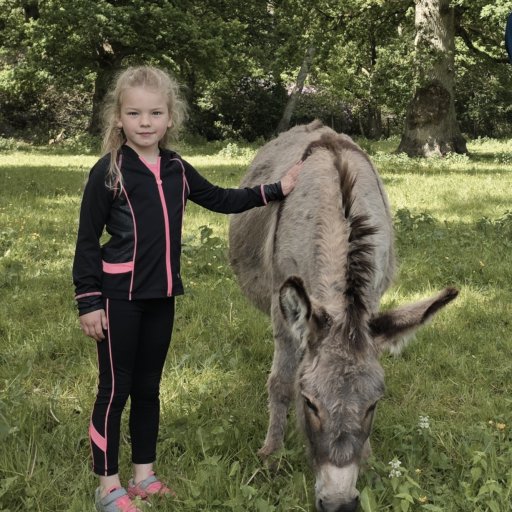 Magiske øjeblikke tæt på dyrene i Knuthenborg Safaripark