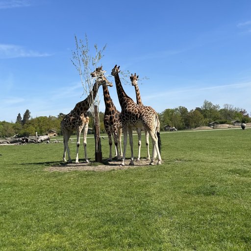 Familietid, dinosaurer og vandleg i Knuthenborg