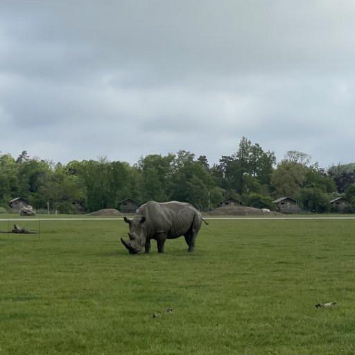 Dyreoplevelser og leg for hele familien i Knuthenborg
