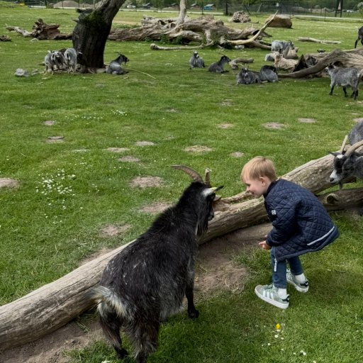 Eventyr blandt dinosaurer og vilde dyr i Knuthenborg