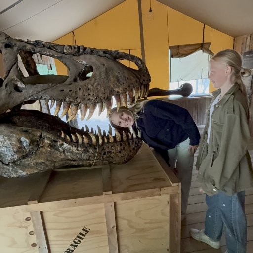 Eventyr blandt dinosaurer og vilde dyr i Knuthenborg