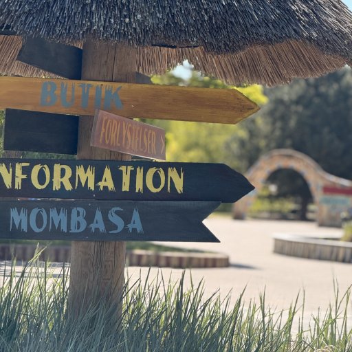 Safari, leg og familiehygge i Knuthenborg Safaripark