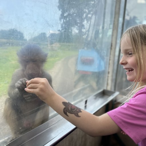 Abebussen og dyreoplevelser på tæt hold i Knuthenborg