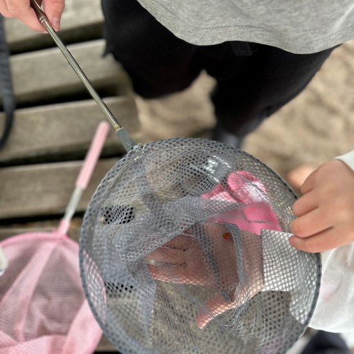 Enkle sommerprodukter med masser af leg – perfekt til strand, natur og små hverdagsudflugter