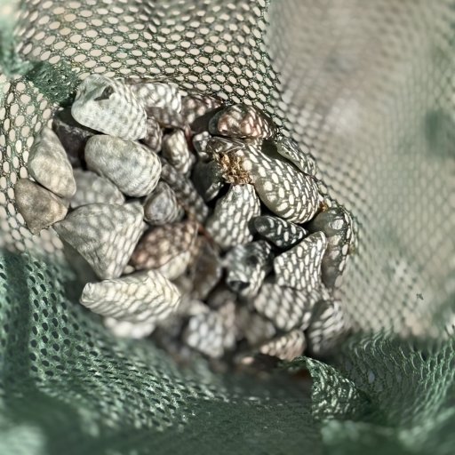 Sommerleg i børnehøjde – produkter der er nemme at tage med og sjove at bruge igen og igen