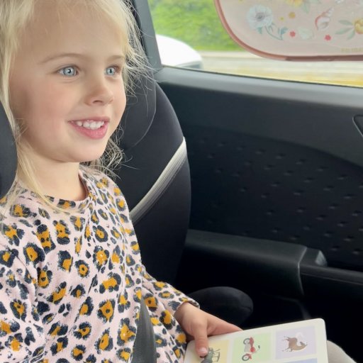 Road Trip Bingo blev hurtigt en fast del af Lucas bilture – og et hit for hele familien