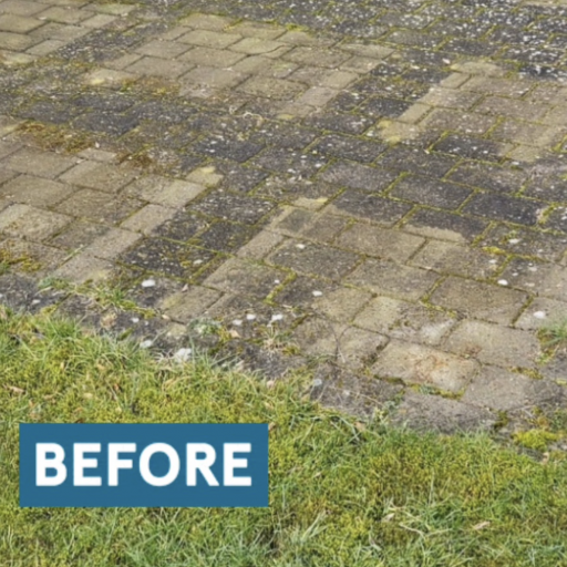 Pernille fjerner alger og genopfrisker havens overflader med Innocare