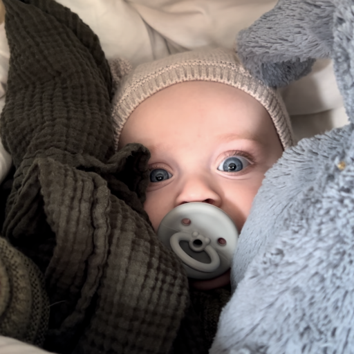 Lucas tester Voksi Explorer i både autostol, klapvogn og barnevogn