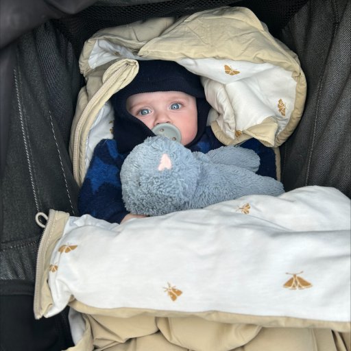 Lucas tester Voksi Explorer i både autostol, klapvogn og barnevogn