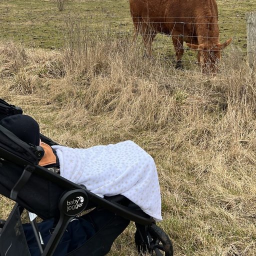 Baby Jogger City Mini GT 2.1 på tur