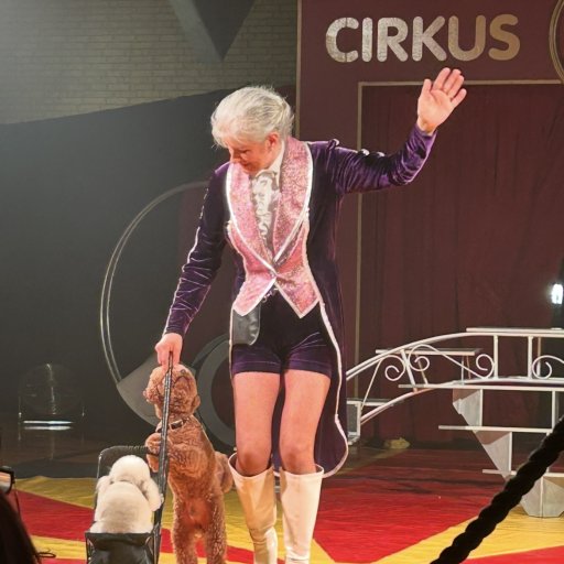 Stemningsfuldt cirkus med lys og farver