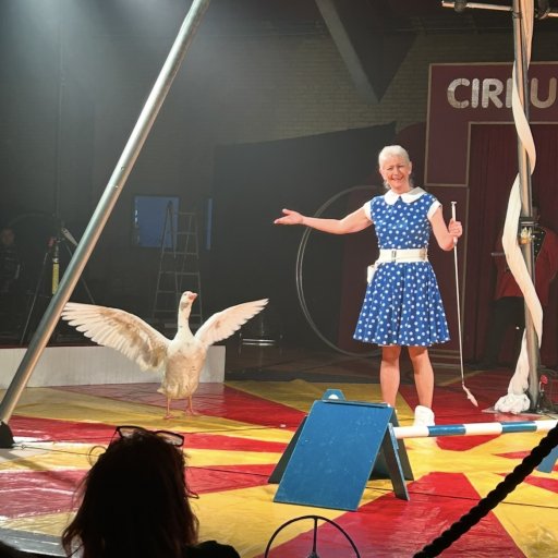 Stemningsfuldt cirkus med lys og farver