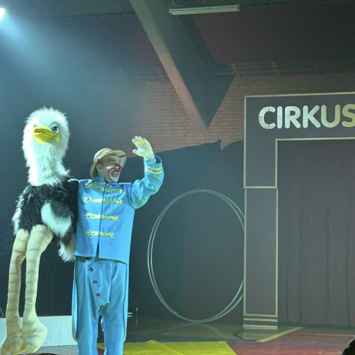 Stemningsfuldt cirkus med lys og farver