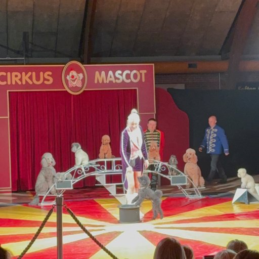 Stemningsfuldt cirkus med lys og farver