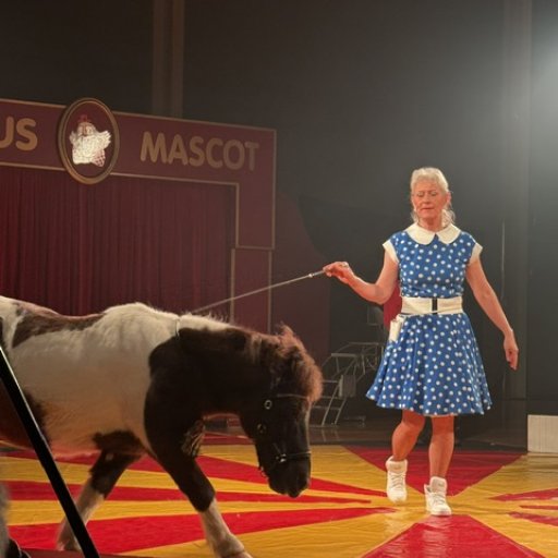 Stemningsfuldt cirkus med lys og farver