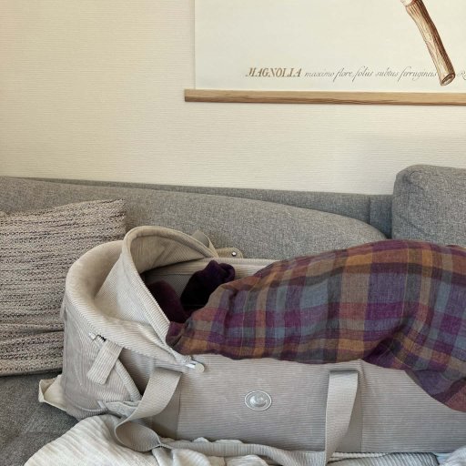 Favn 2 Carrynest â en tryg og fleksibel lĂžsning til babyens hverdag