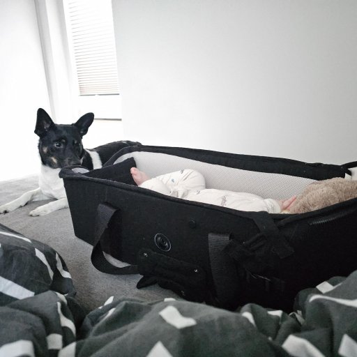 Babynest, lift og legetĂŠppe i Ă©t â nemt at tage med overalt