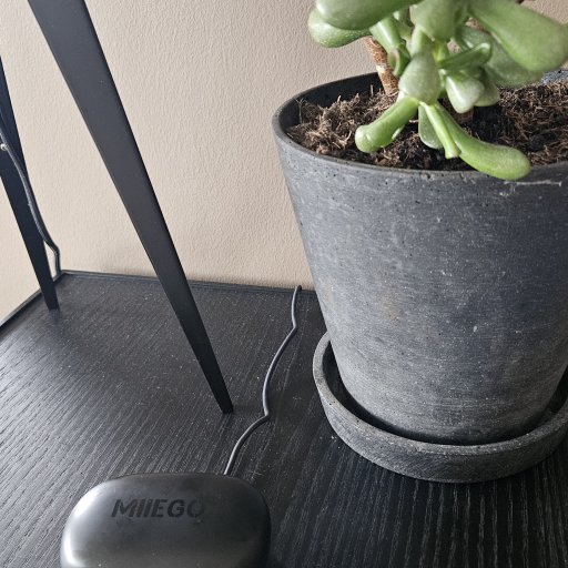 Komplet lydoplevelse med earbuds og trådløs oplader