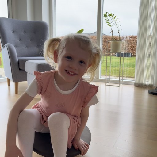 Legetøj der rent faktisk bliver brugt hver dag