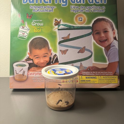 Lær om naturens udvikling på nært hold