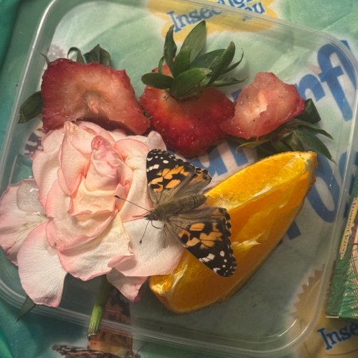 Lær om naturens udvikling på nært hold