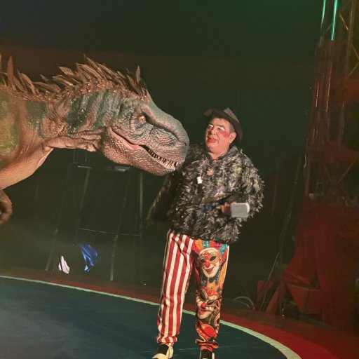 Hyggelig cirkusstemning i det intime telt i Cirkus Baldoni