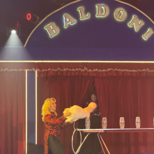 Massere af grin med det sjove bugtaler-nummer