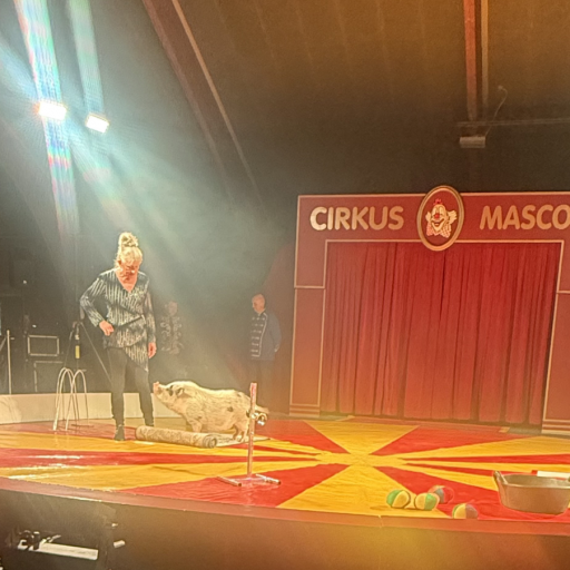 Grin og gøgl i børnehøjde hos Cirkus Mascot