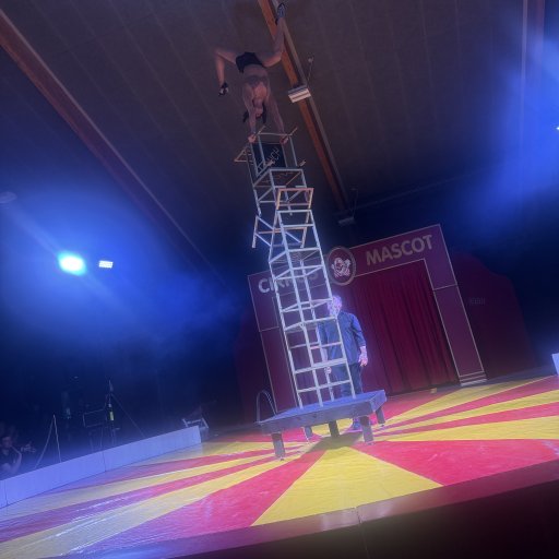 Tæt på manegen – en nærværende cirkusoplevelse