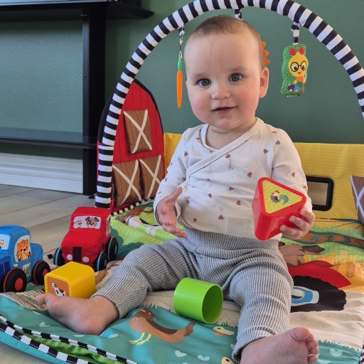 Busy Barnyard stimulerer babyens sanser gennem leg, lys og musik