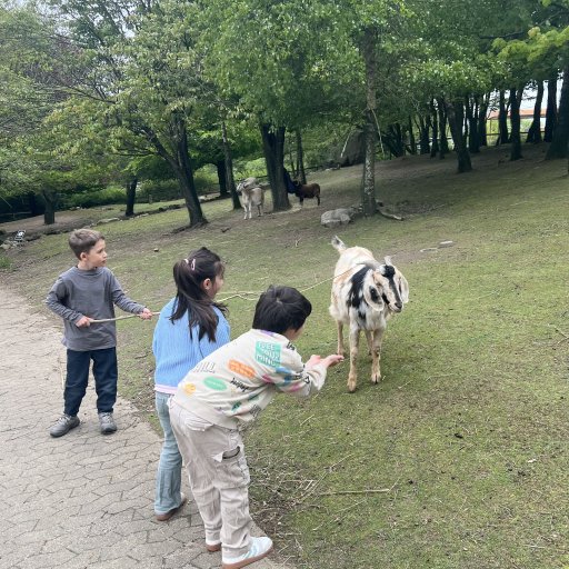 Fra løver på safari til leg og gode minder