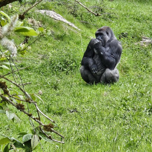 Fra løver på safari til leg og gode minder