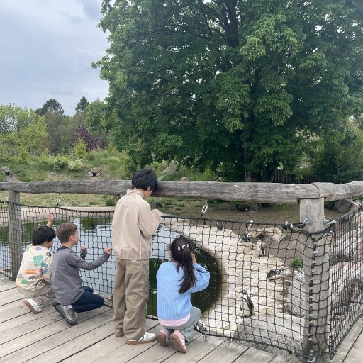 Givskud Zoo – eventyr for både børn og voksne