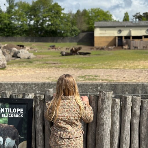 Givskud Zoo – eventyr for både børn og voksne